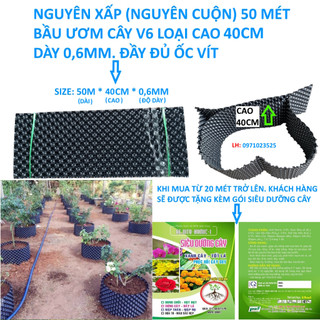 50 mét bầu ươm v6. khổ cao 40cm dày 0,6mm tặng kèm 1 gói kích rễ, dưỡng cây