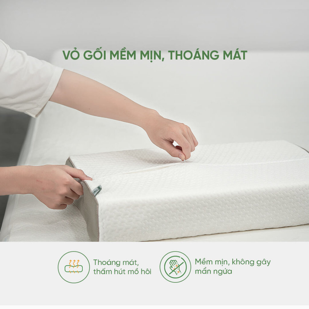 Gối cao su thiên nhiên 100% Gummi Contour Massage cao cấp chống đau vai gáy bảo hành VN