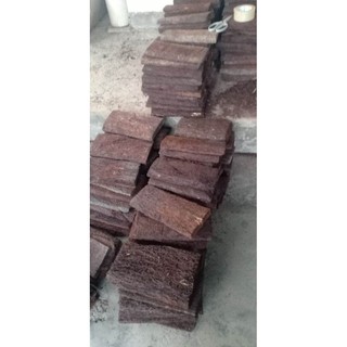 Dớn bảng trồng lan sz 30cm