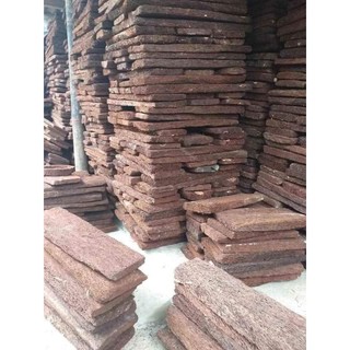Dớn bảng trồng lan sz 30cm