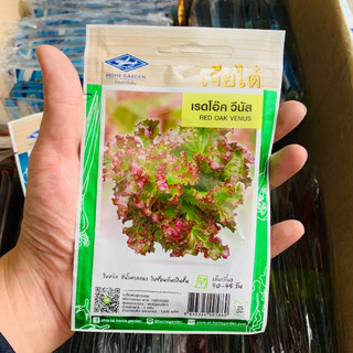 Hạt giống xà lách red venus. 1000 hạt/gói. hàng nhập thái lan