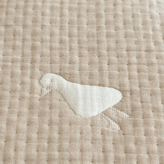 Bộ chăn ga cotton Hàn màu pastel