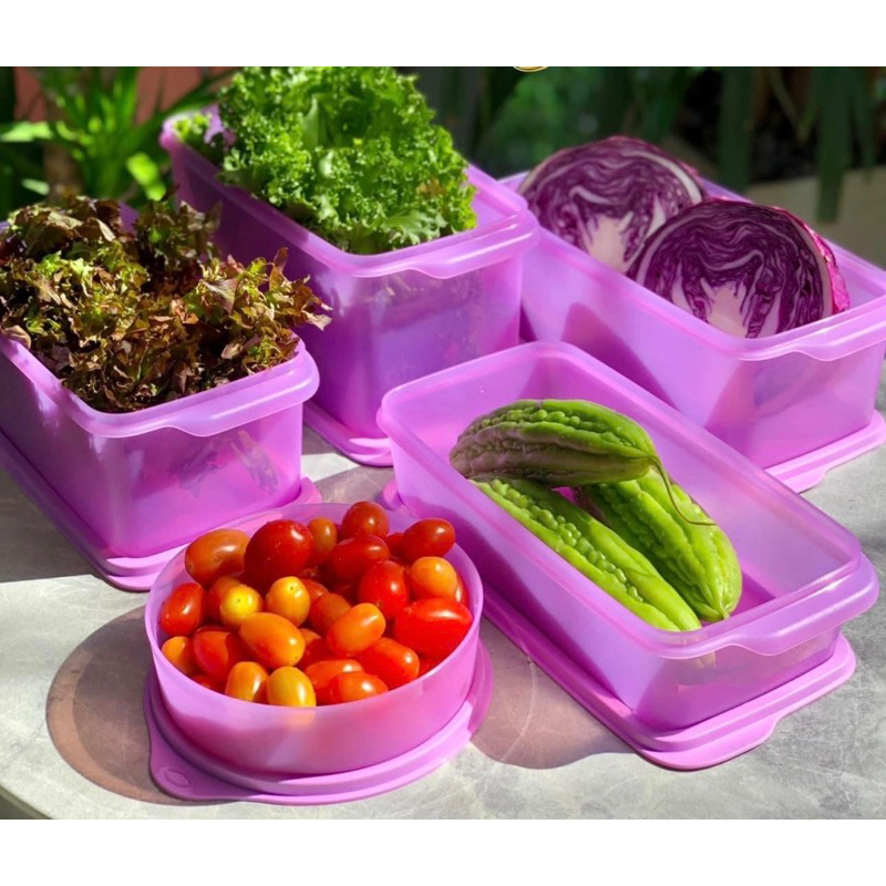 Set 5 hộp trữ mát Freshia Tím