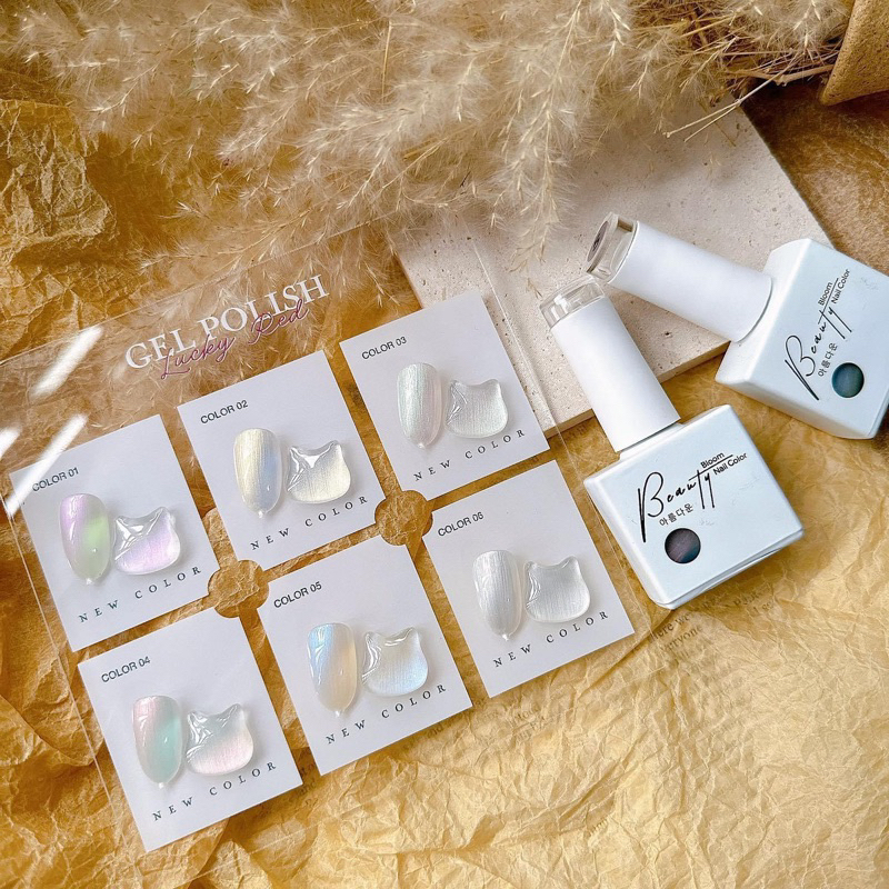 Set sơn Ánh trai Bns 6 màu xinh xắn Korea