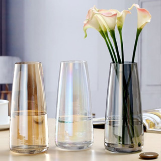Bình hoa thuỷ tinh Qhouse , lọ hoa decor phong cách Bắc Âu Symphony để bàn làm việc