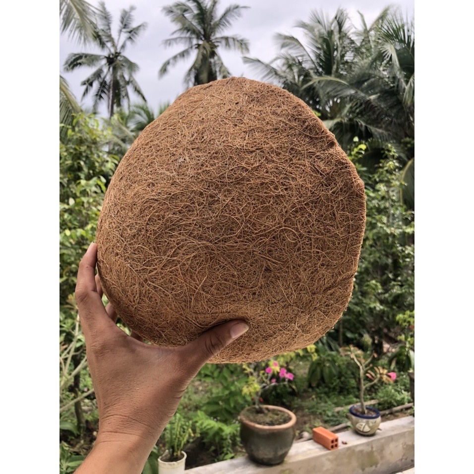 Miếng lót chậu xơ dừa