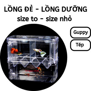 Lồng dưỡng cho tép - lồng đẻ cho guppy size 10x7x13cm - size 17,5x8,5x15 - Phụ kiện cá cảnh | Hingaostore.