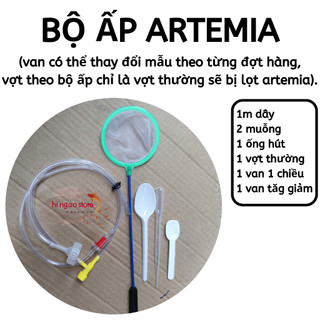 Bộ ấp artemia - Bộ ấp trứng artemia BAATM - Phụ kiện cá cảnh | Hingaostore.
