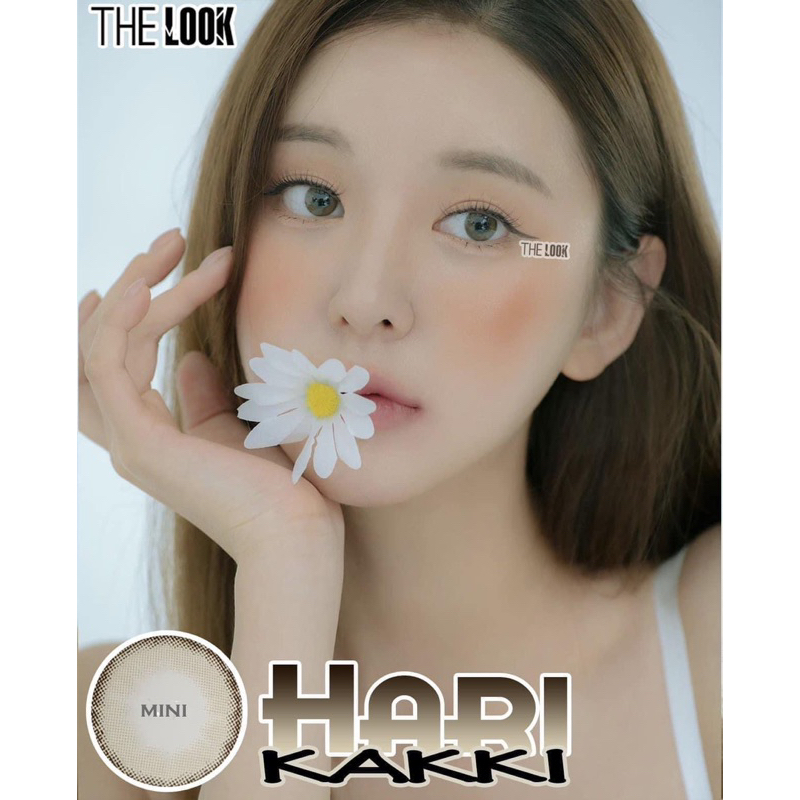 |CÓ LỆCH ĐỘ| Lens Hari Kakki The LoOk 0-8độ [CHÍNH HÃNG]