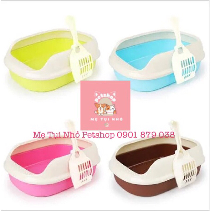 Khay vệ sinh cho mèo con