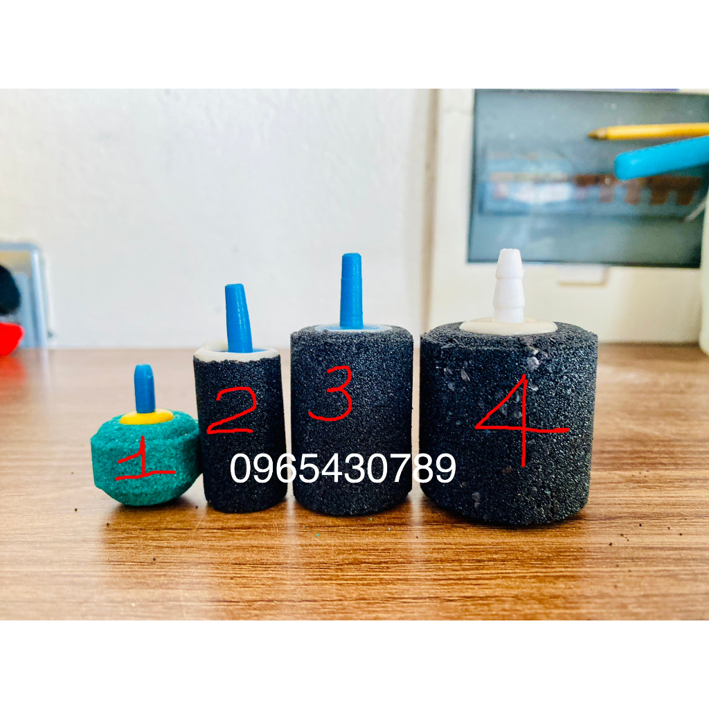 [Rẻ vô địch] [Ảnh thật] Quả sủi siêu mịn nhỏ A006