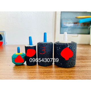 [Rẻ vô địch] [Ảnh thật] Quả sủi siêu mịn nhỏ A006