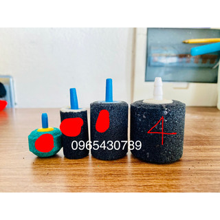 [Rẻ vô địch] [Ảnh thật] Quả sủi siêu mịn nhỏ A006