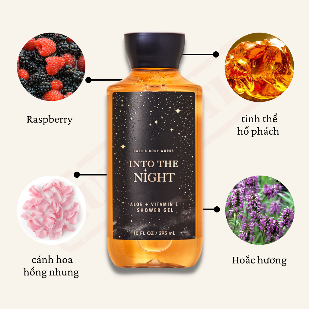 Sữa tắm hương nước hoa dưỡng ẩm bán chạy | Bath and Body Works | Into The Night