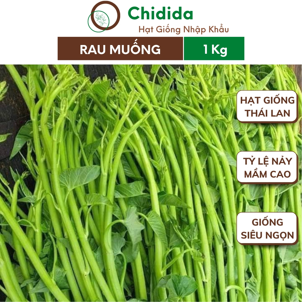 Hạt giống rau muống Chidida giống rau muống siêu ngọn Thái Lan gói 1kg dễ trồng kháng bệnh tốt