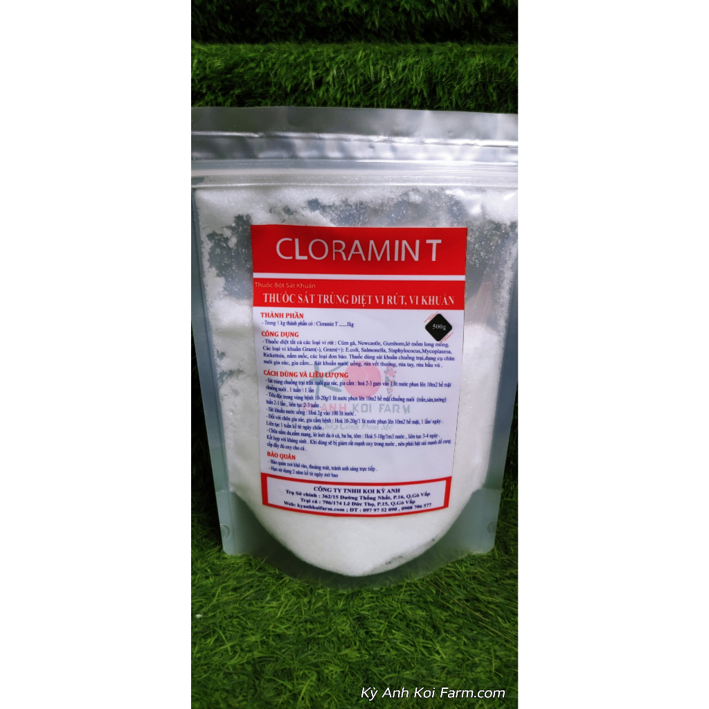 Cloramin T gói 500g