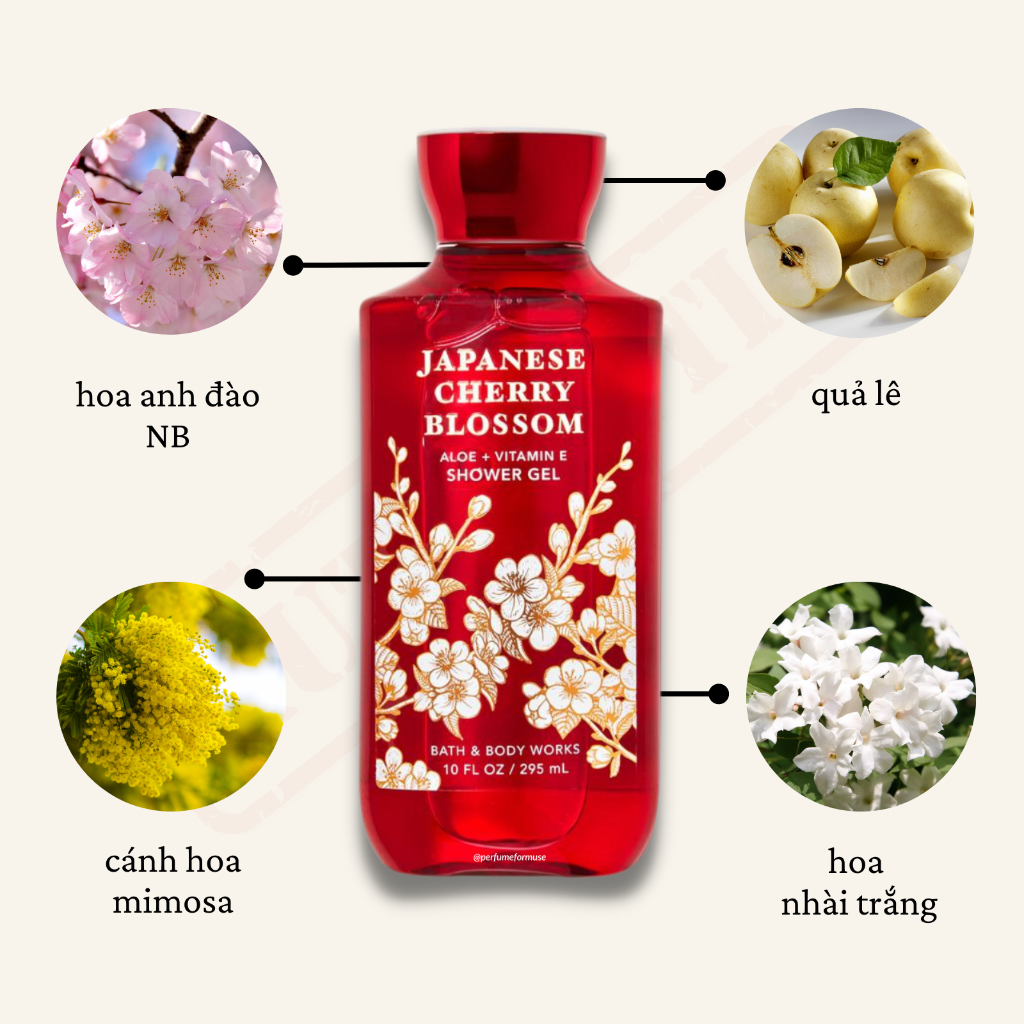 [Giá tốt T7/2024] Sữa tắm hương nước hoa dưỡng ẩm hoa anh đào Nhật Bản | Bath and Body Works | Japan