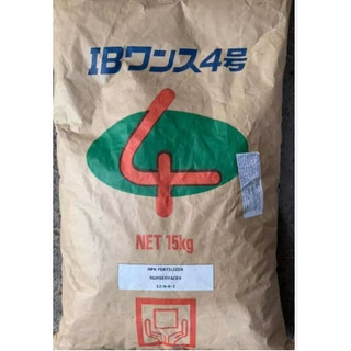 100 gram phân tan chậm hạt bàng nhật bản nurseryace 12-6-6