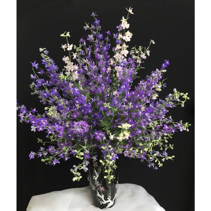 20 hạt giống hoa violet