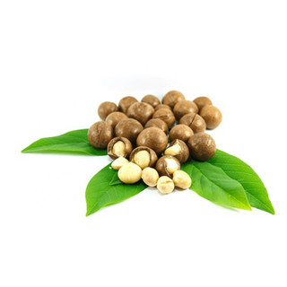 Hạt Macca Nứt Vỏ-ROASTED MACCADAMIA INSHELL