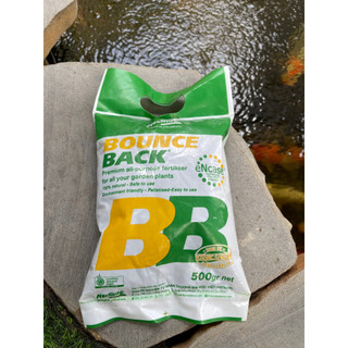 Phân hữu cơ tan chậm Bounce Back gói 500gram chuyên bón các loại hoa lan , kiểng lá