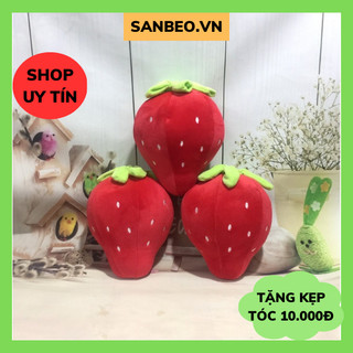  Gấu Bông Quả Dâu Tây Nhồi Bông Cao Cấp an toàn cho trẻ nhỏ _SANBEO.VN 
