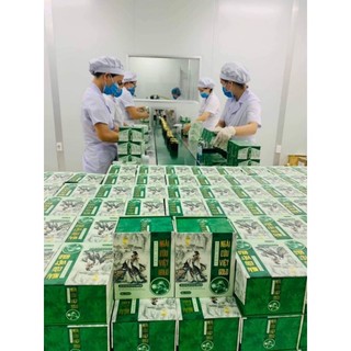 Tinh dầu ngải cứu việt 200ml