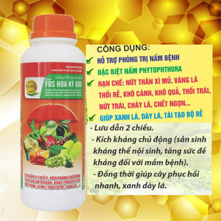 RIDO HOA KỲ BỘT SỦI Bột XANH
