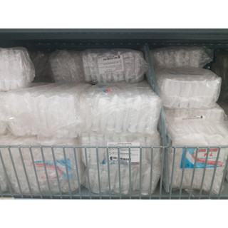 Tắc kê nhựa  ( gói 100 con)