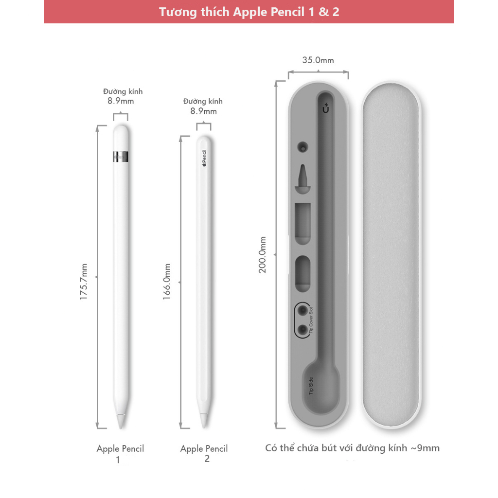 Hộp đựng và giá đỡ cho Apple Pencil hiệu Stoyobe