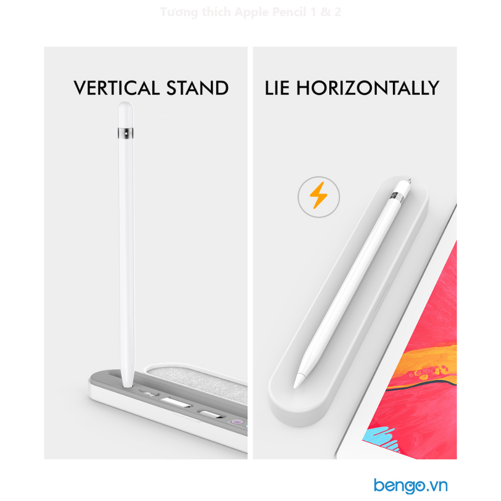 Hộp đựng và giá đỡ cho Apple Pencil hiệu Stoyobe