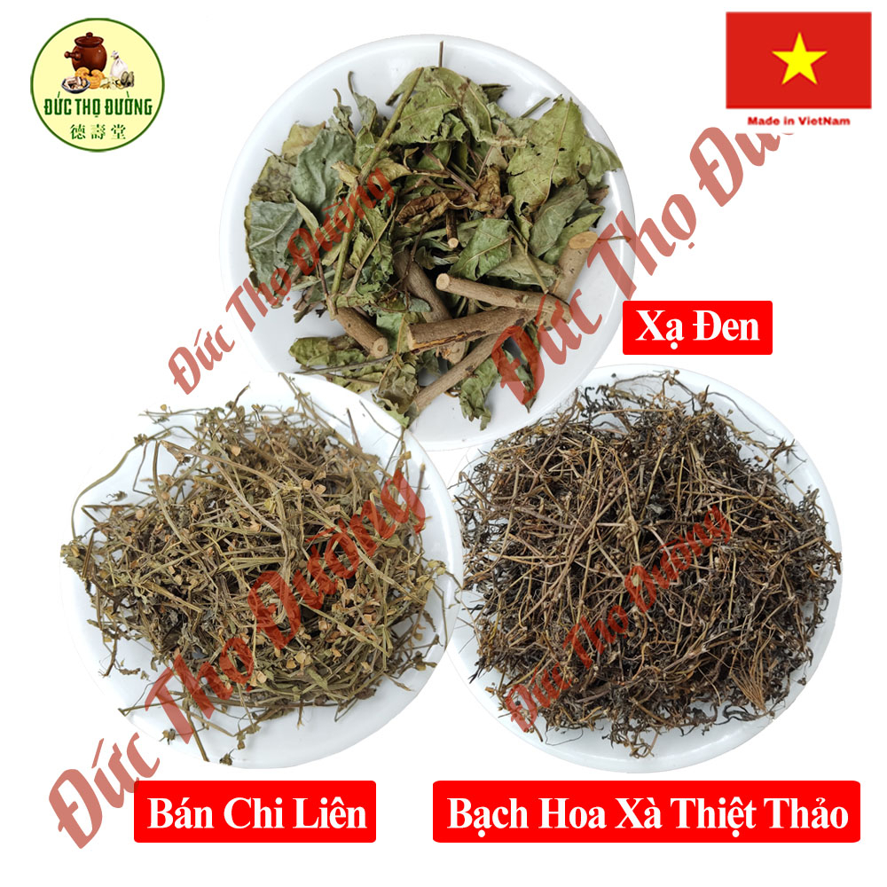 Xạ Đen - Bán Chi Liên - Bạch Hoa Xà Thiệt Thảo - Hàng Công Ty - Túi 1 kg