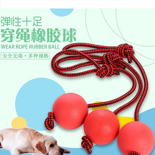 Đồ Chơi Dây Và Bóng Cao Su Huấn Luyện Chó Mèo