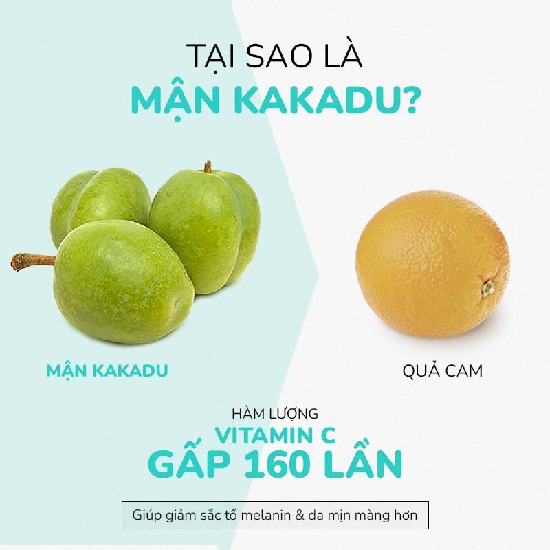 Combo Kem Giảm Thâm Nách, Dưỡng Trắng Da Nách Mông Bikini Khuỷu Tay Đầu Gối Khử Mùi Hôi Nách LA BEAU TÉ 70g