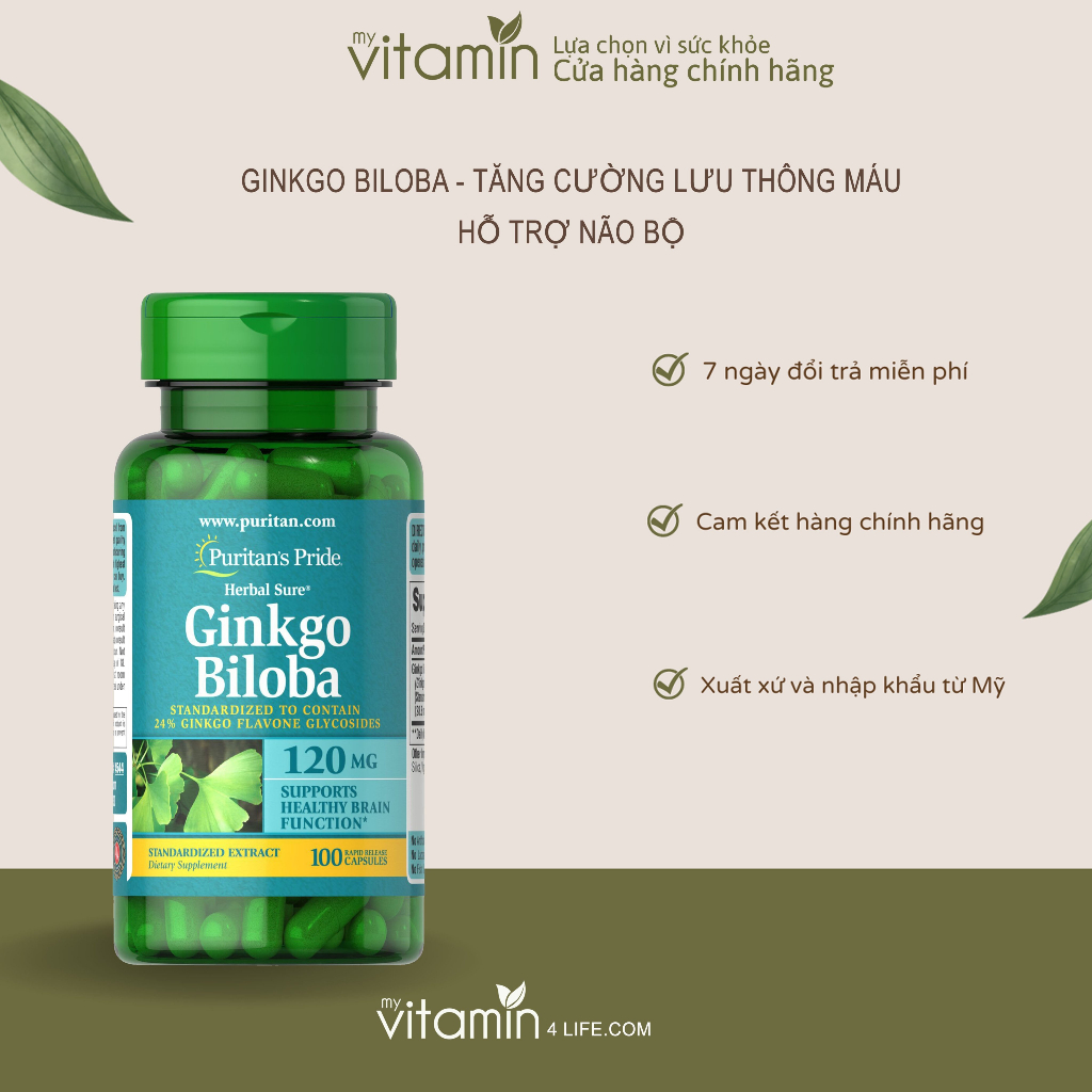 Viên Uống Hỗ Trợ Tuần Hoàn Não Bộ Puritans pride Ginkgo Biloba 120mg 100 Viên