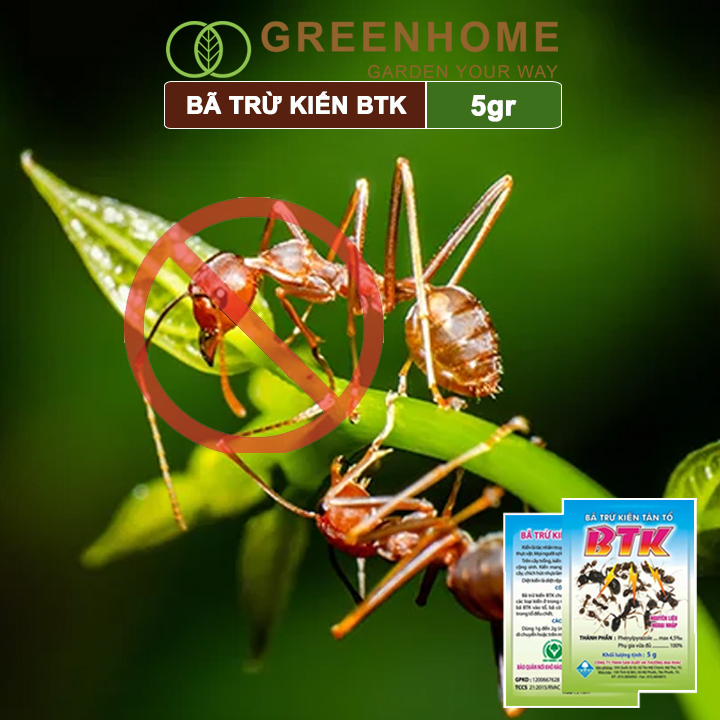 Thuốc diện kiến tận ổ Greenhome btk, gói 5gr, hiệu quả cao, dễ sử dụng, tác dụng lâu dài