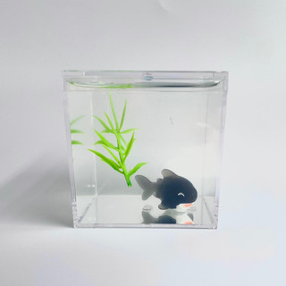 Slime bể cá thuỷ sinh - chất water slime (slime nước)