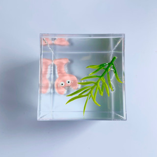 Slime bể cá thuỷ sinh - chất water slime (slime nước)