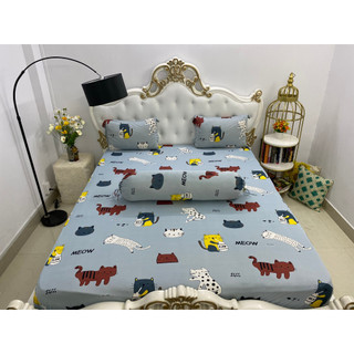 Bộ drap thun hàn quốc mát lạnh cực hot
