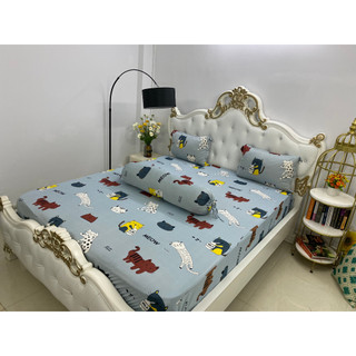 Bộ Drap Thun Hàn Quốc Mát Lạnh {4 MÓN} Cực Hot