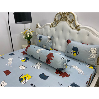 Bộ Drap Thun Hàn Quốc Mát Lạnh {4 MÓN} Cực Hot