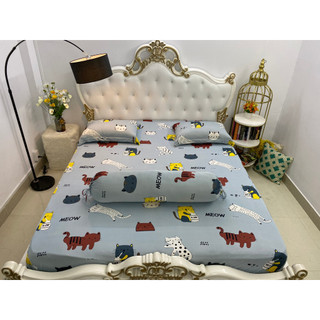 Bộ Drap Thun Hàn Quốc Mát Lạnh {4 MÓN} Cực Hot