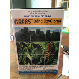 1 hộp Coc 85 (10 gói)