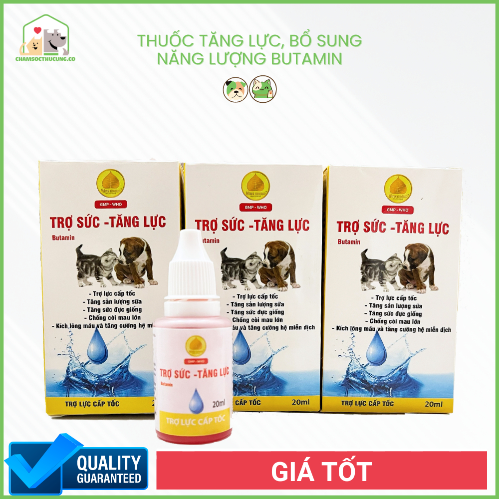 Butamin- Hồi sức cấp tốc cho chó mèo-Tăng tính thèm ăn- Winsgroup 20ml