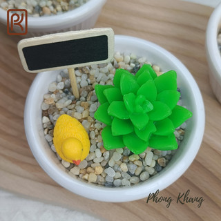 Khuôn silicon 4d Phong Khang làm rau câu sen đá