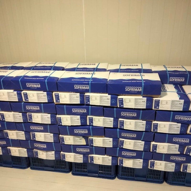 ỐC BULOT PHÁP  SIZE 20-30 con/kg. giá sỉ