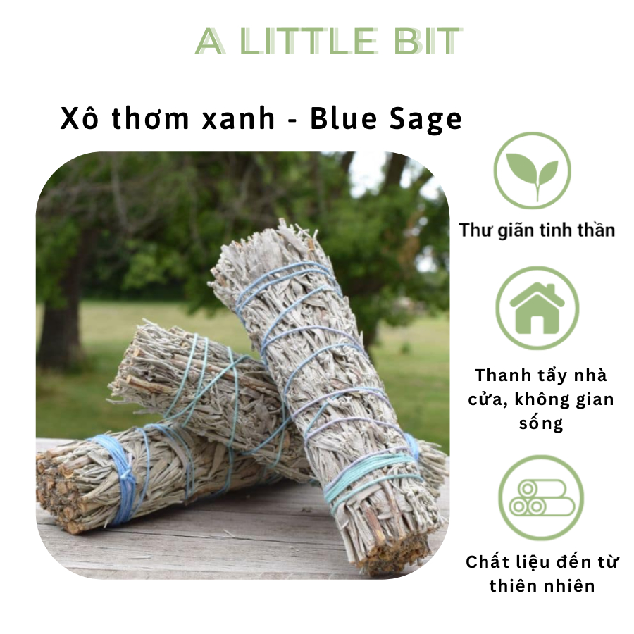 Xô thơm xanh - Blue Sage, Sage xanh thu hút tiền bạc, sự thịnh vượng, chữa lành và mang đến sự hạnh phúc - A Little Bit