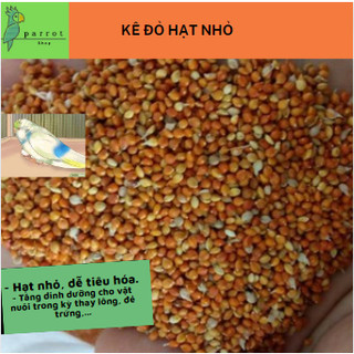 Kê đỏ hạt nhỏ dùng cho chim cảnh, yến phụng, gà kiểng, cu gáy,...