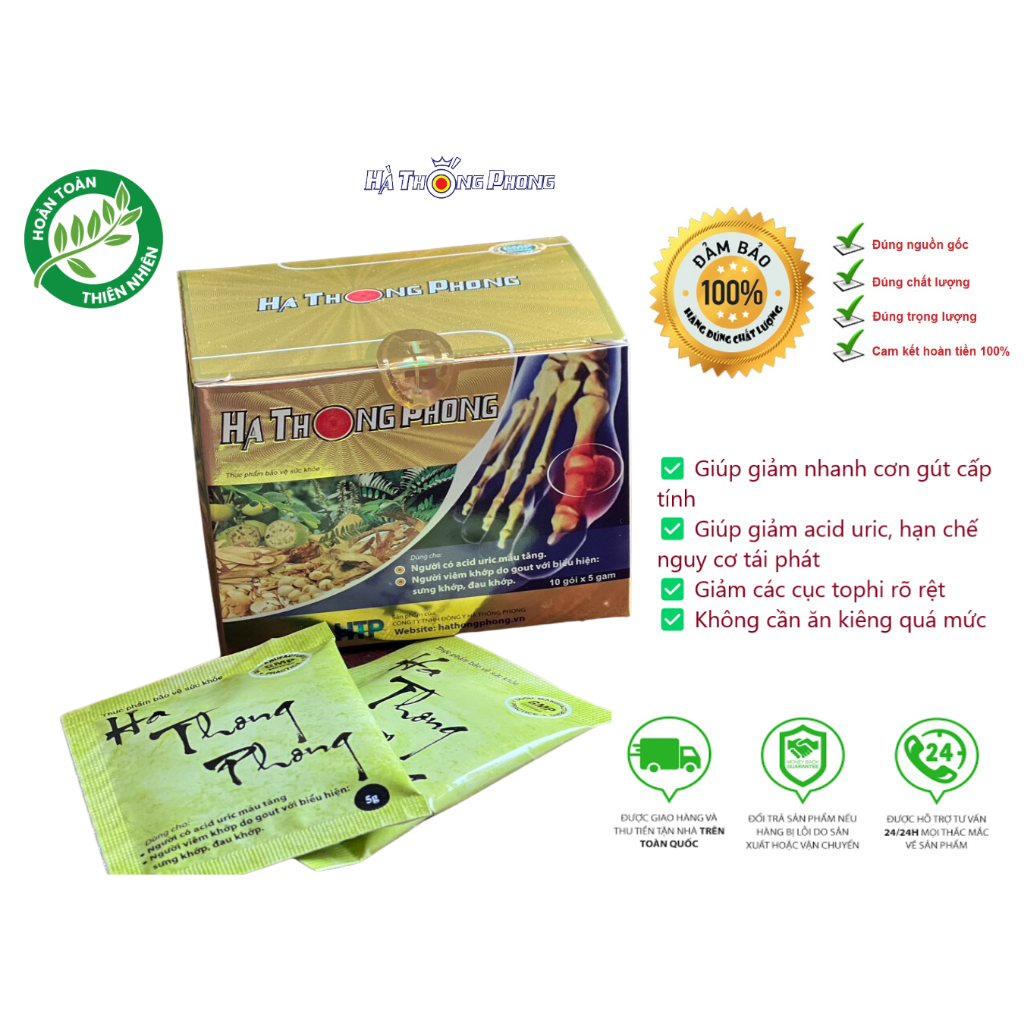 HÀ THỐNG PHONG - XUA TAN NỖI LO VỀ GÚT