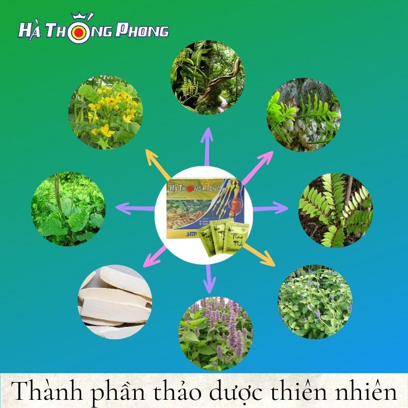 HÀ THỐNG PHONG - XUA TAN NỖI LO VỀ GÚT